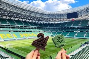 333体育官网- 图卢兹市政府注资足球俱乐部，基础设施全面升级  